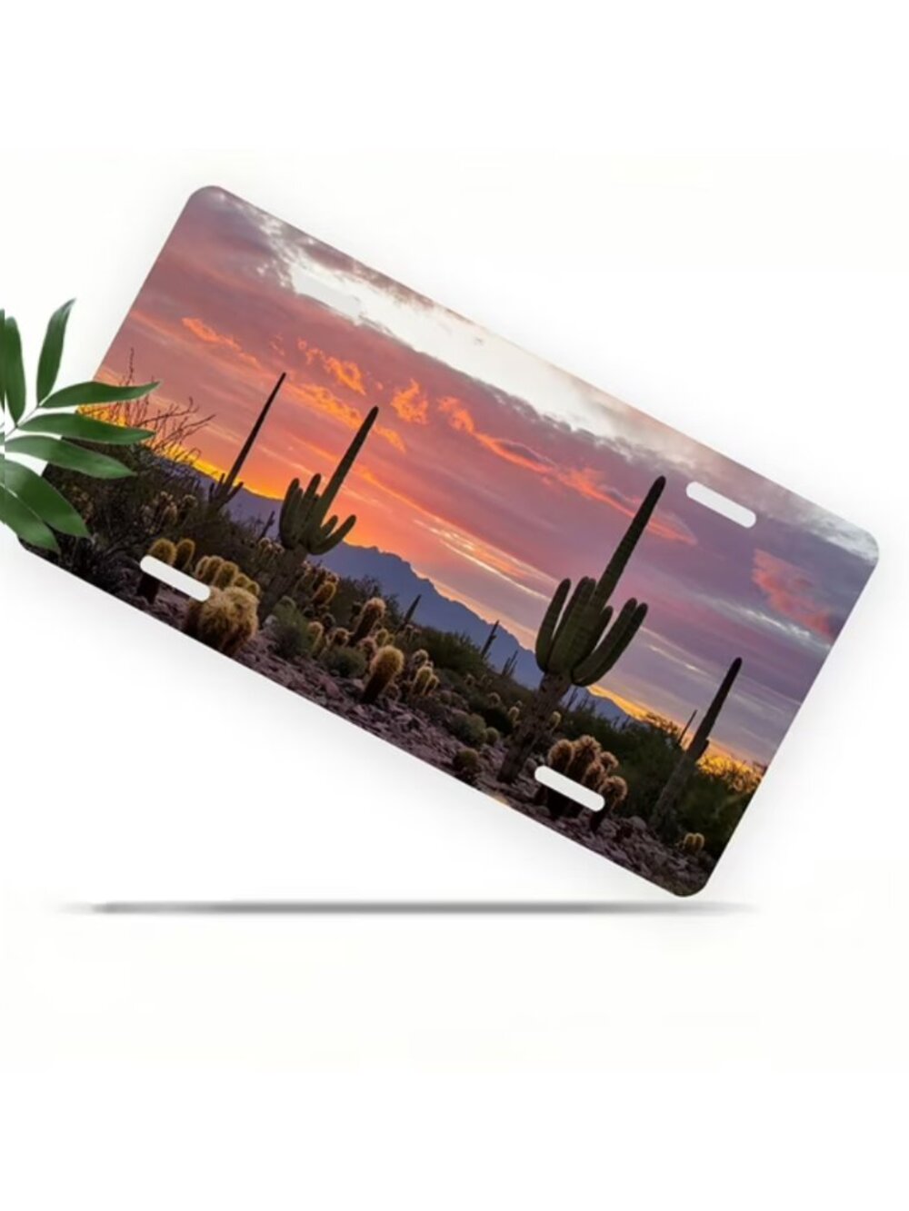 License Plate, Desert Cacti at Sunset Decorative Front,Personalized Stainless St